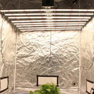  2020 New Arrival 600W 8 Bar Grow Light for Indoor Plant