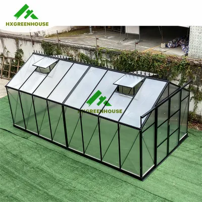  Hot Sale 10mm Polycarbonate Huixin Green Houses Aluminum Frame House Other Garden Greenhouse