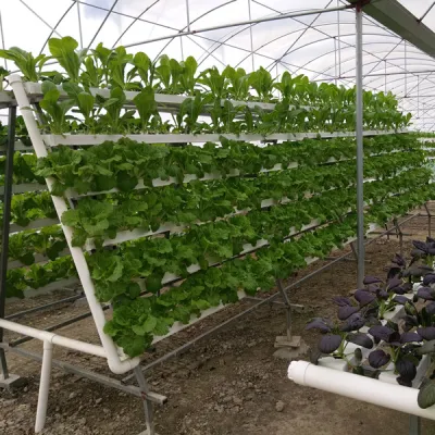  Customized Vertical Nft Greenhouse Automatic Hydroponic System