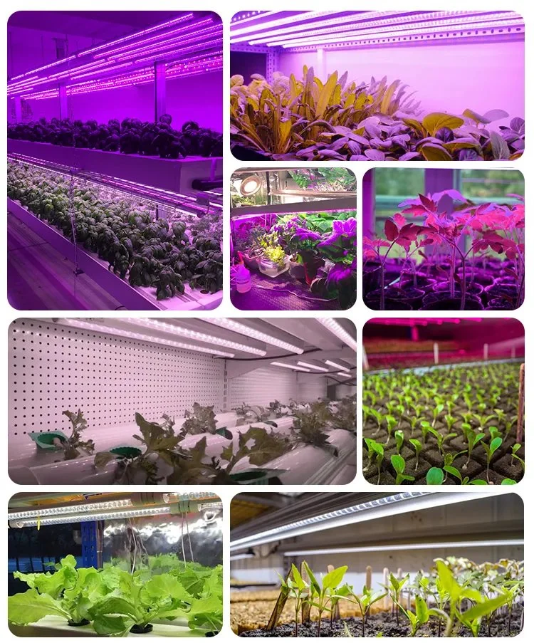 Grow Light Bulb Full Spectrum 3FT V-Shape T8 Integrated LED Grow Light for Indoor Plant