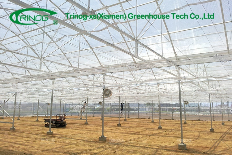 Hot Sale Film Multi-span Water Saving Smart Greenhouse with Indoor Hydroponic System