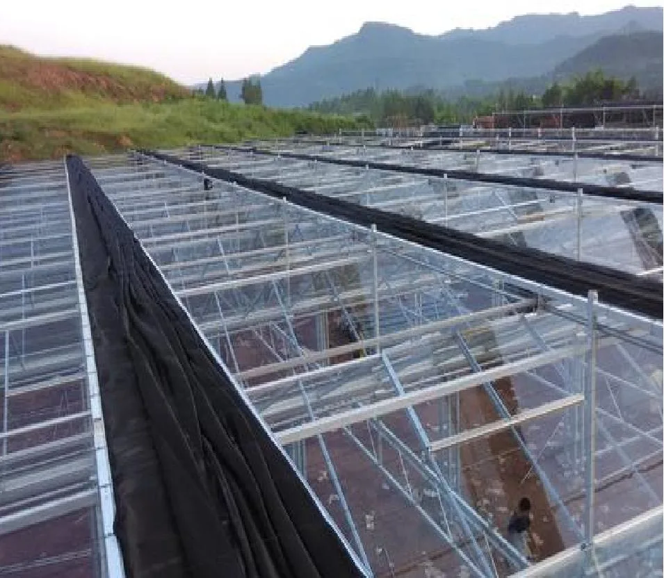 Agricultural/Commercial /Multi- Span Film/Po/PE/Plastic Green House for Tomatoes/Cucumber/Peppers/Strawberry with Hydroponic System/Drip Irrigation