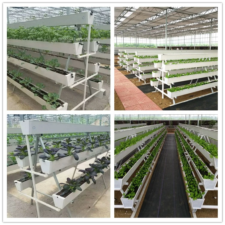 Greenhouse Garden Strawberry Potato PVC Plant Growing Gutter