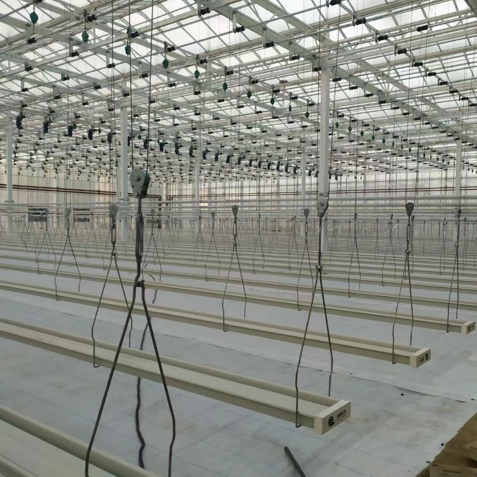 Commercial PVC Hydroponic Greenhouse with Grow Systems