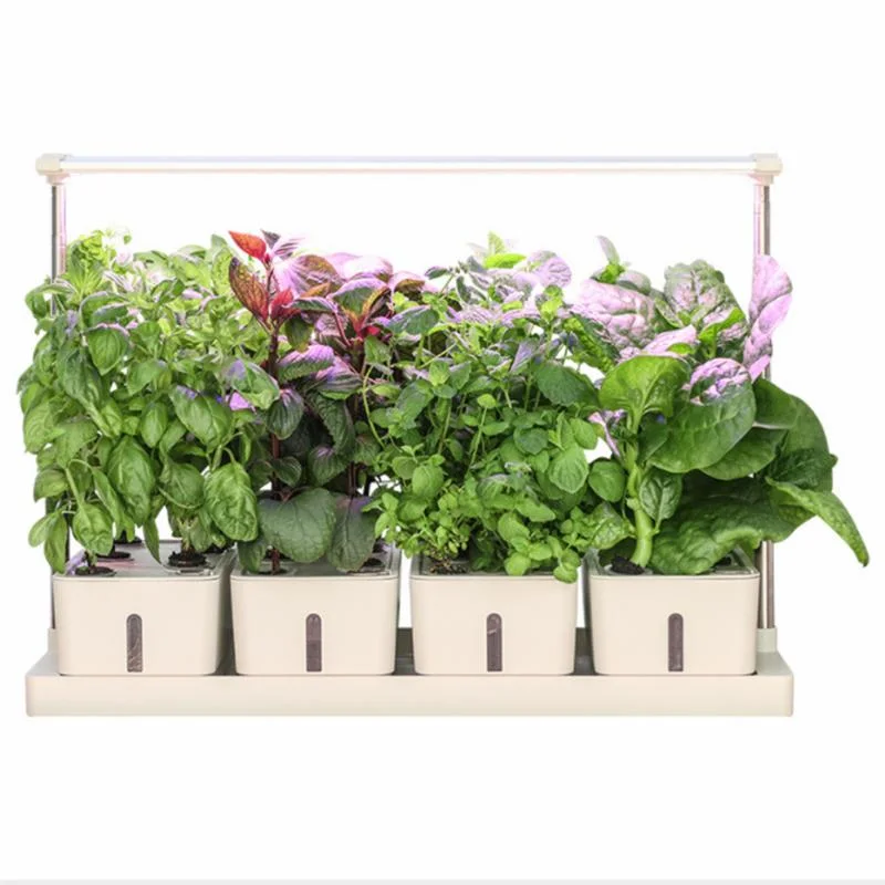 Indoor Garden Mini Hydroponic Growing System with LED Light