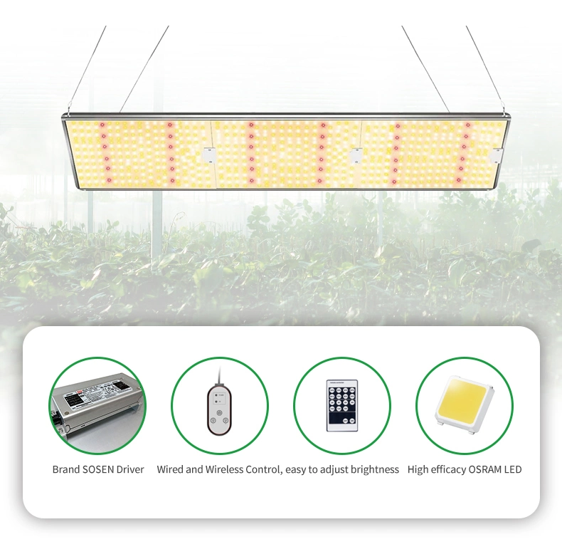 Full Spectrum 110V-277V Plant 300W LED Grow Light