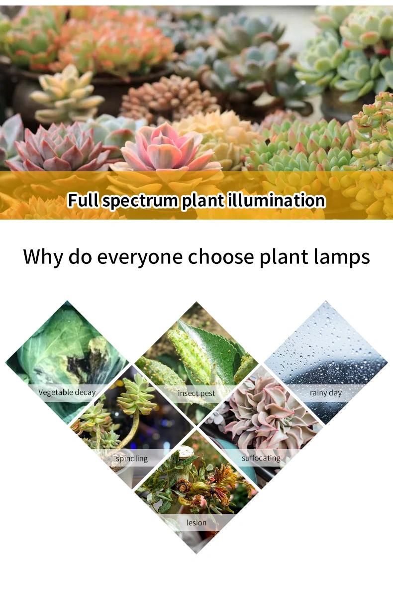 Waterproof UV 720W 1000W Full Spectrum LED Grow Lights for Indoor Plants