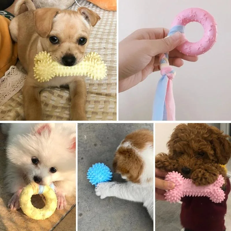 Pet Dog Toys for Small Dog Chews TPR Knot Toys Bite Resistant Molar Teeth Cleaning Dog Training Toy