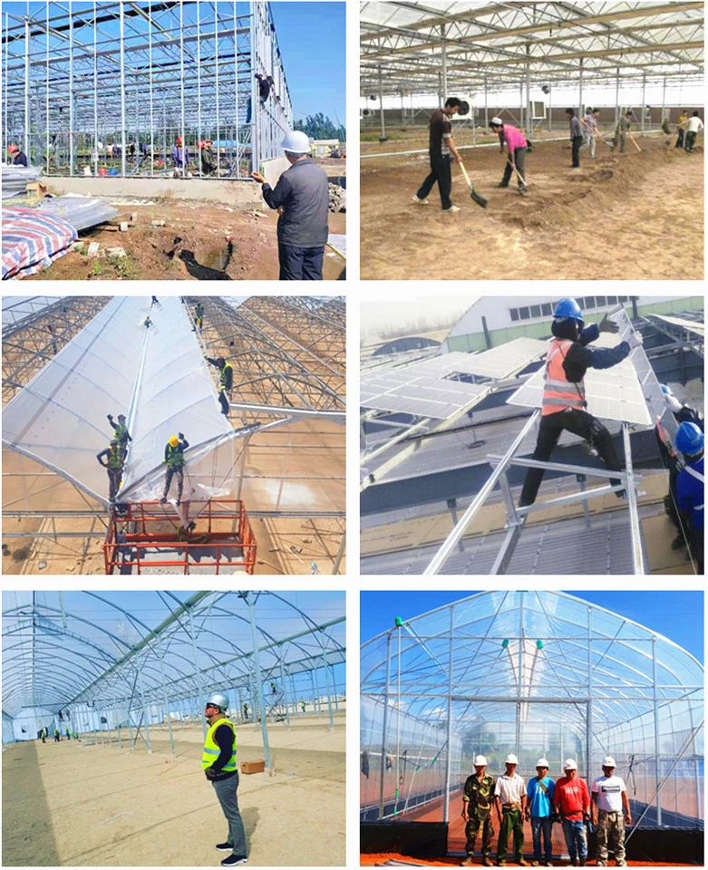 Venlo Tempered Glass Greenhouse with Hydroponics Growing System for Vegetables/ Flowers/ Tomato/