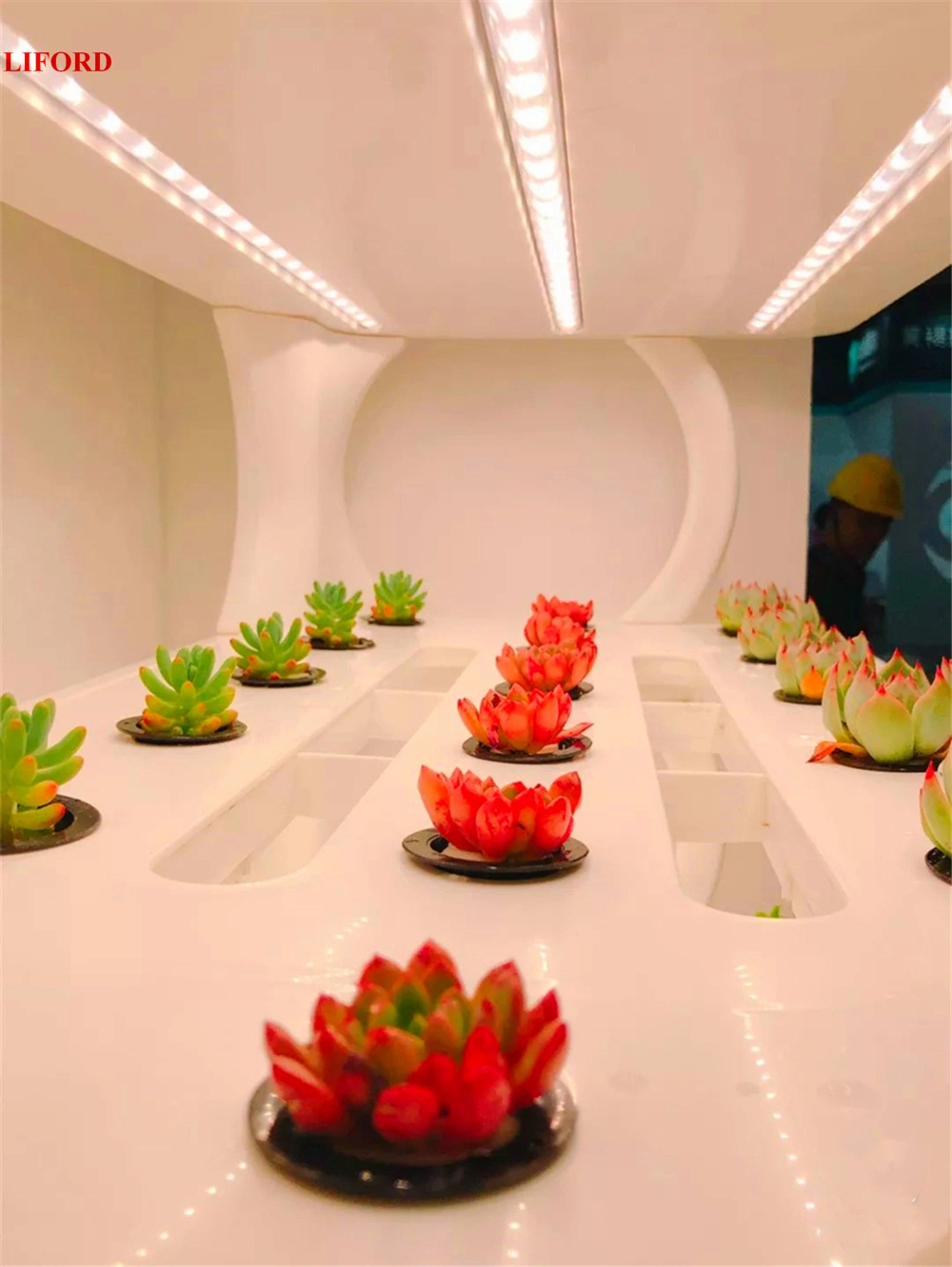 Vertical Hydroponics Systen Nft Hydroponic System Indoor Decorative Home Garden Flower Pot