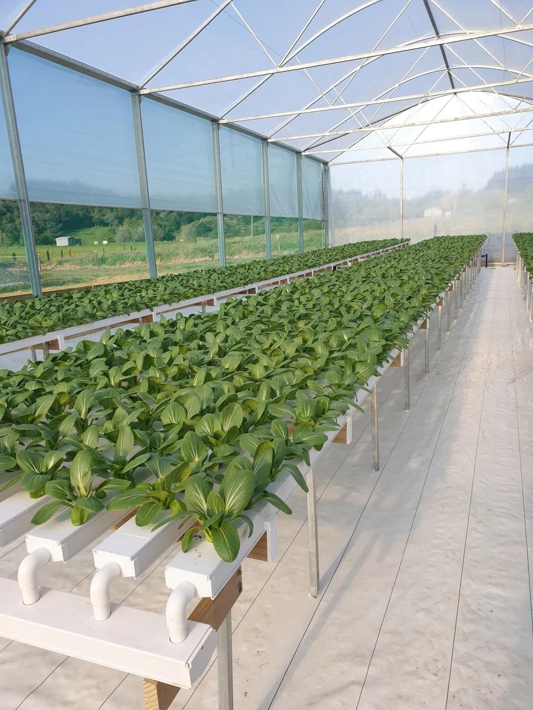 Nft Channel Hydroponic Growing System for Greenhouse