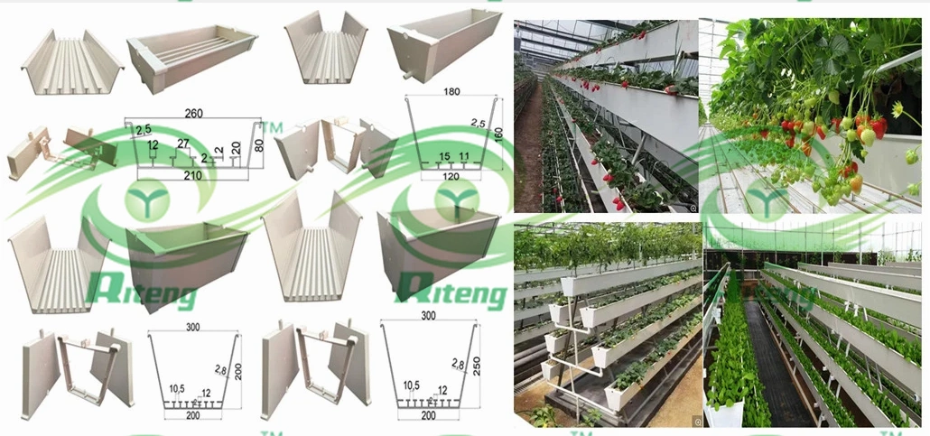Agriculture Greenhouse Vegetable Plant Tray Flower Seeding Tray Crop Seed Trayfor Soilless Cultivation and Hydroponic Systems and for Greenhouse.