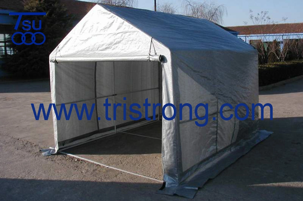 Family Mini Shelter/Portable Small Carport/Greenhouse (TSU-250A)