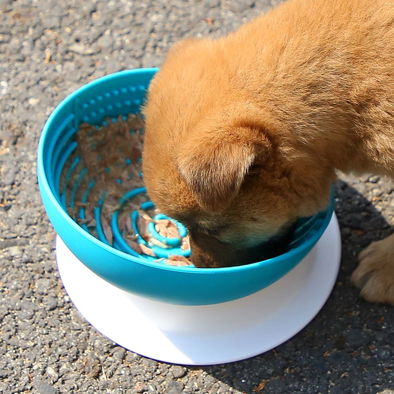 Collapsible Cat Dog Portable Water Bowl Pet Folding Bowl Portable Food Bowl