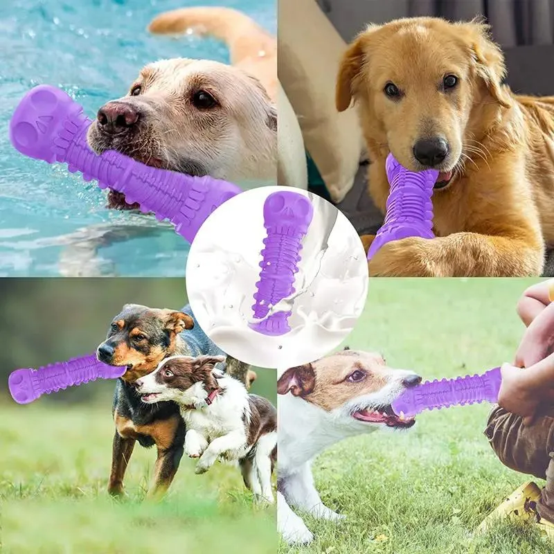 Rubber Squeaky Dog Chew Toy for Aggressive Chewers Dog Teeth Cleaning Toy