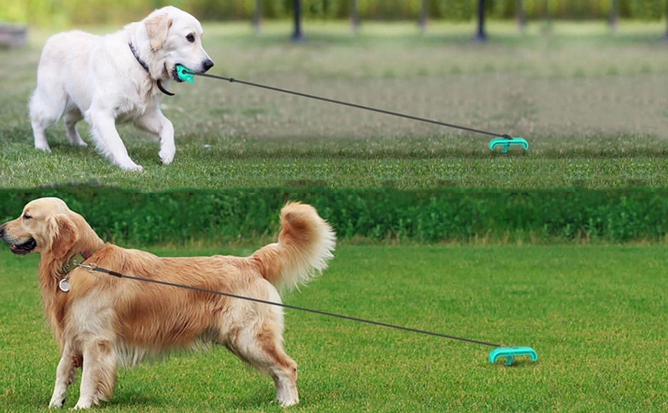 Voovpet Pet Outdoor Tie Dog Ground Pile Ground Nail Tie Dog Leash Walking Toy Dog Rope Ball Pull Toy.