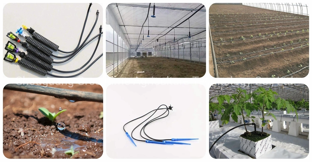 Agricultural/Commercial Single Span/Cheap Tunnel/Gothic Plastic Film Hydroponic Greenhouse for Tomatoes Lettuce Cucumber