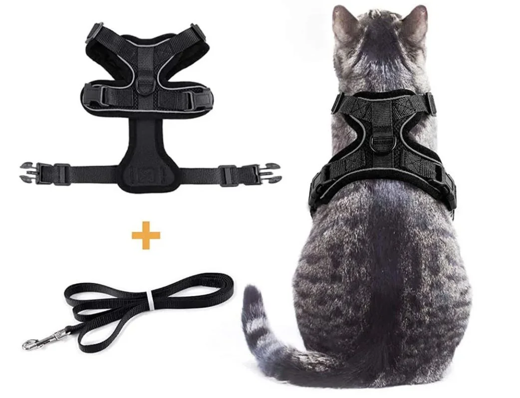 Custom Adjustable Cat Harness Set Breathe Freely Reflective Cat Vest and Leash