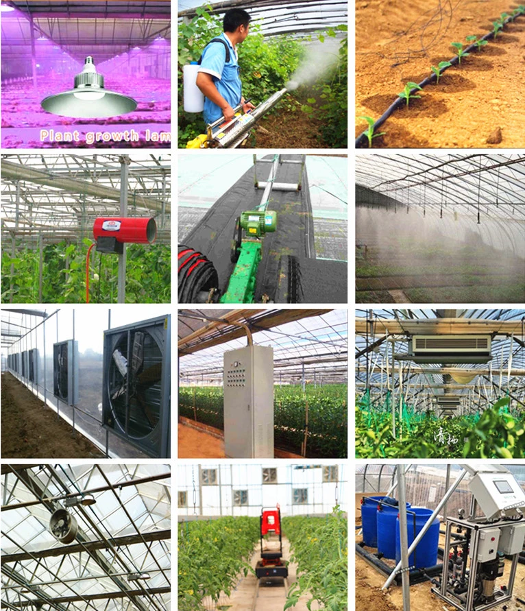 Venlo Tempered Glass Greenhouse with Hydroponics Growing System for Vegetables/ Flowers/ Tomato/