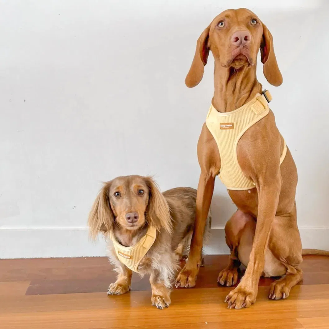 Custom Logo Premium Corduroy Fabric Dog Harness Collar Lead Set Metal Buckle