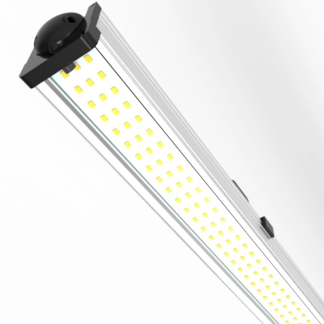 240W High Ppfd LED Grow Light for Indoor Plant