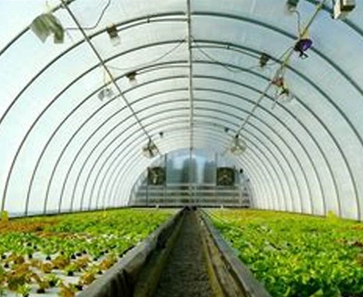 Low Cost Garden Hydroponic System Indoor Greenhouse Garden Greenhouse