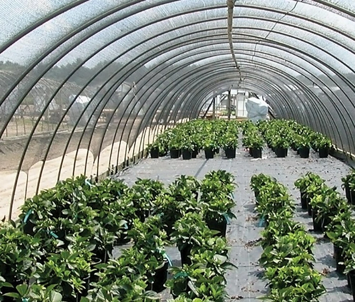 Low Cost Garden Hydroponic System Indoor Greenhouse Garden Greenhouse