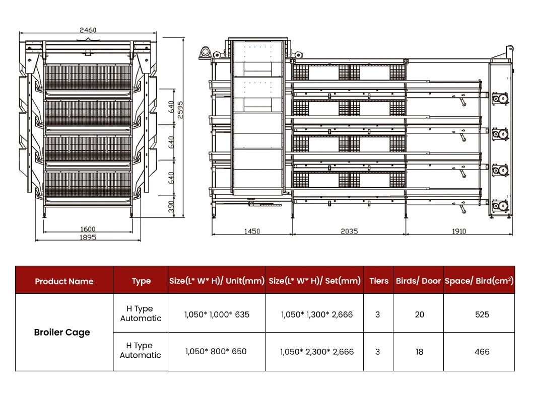 Bestchickencage China Outdoor Chicken Coops Suppliers H Frame Automatic Boriler Cages Free Sample Energy Save/Remote Control Chicken Coop Shed