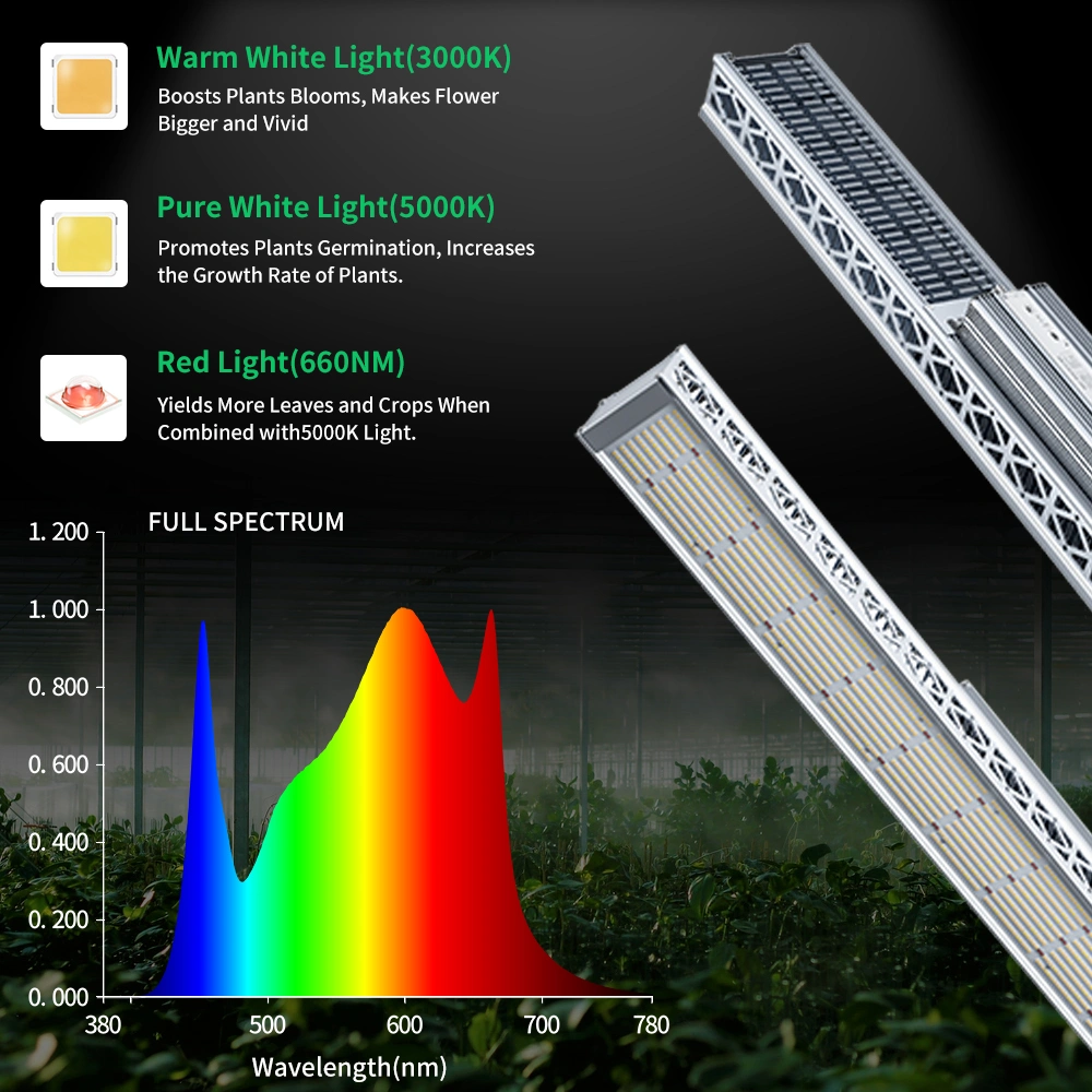 600W 680W 800W 1000W LED Grow Light for Greenhouse Indoor Plants