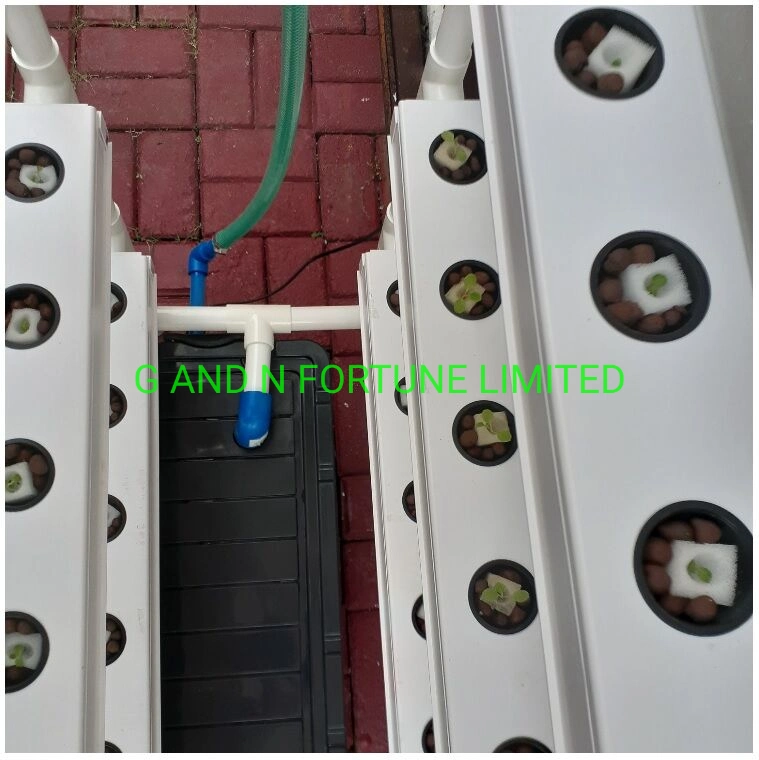 Indoor Vertical Hydroponic Nft Channel System for Leafy Vegetables
