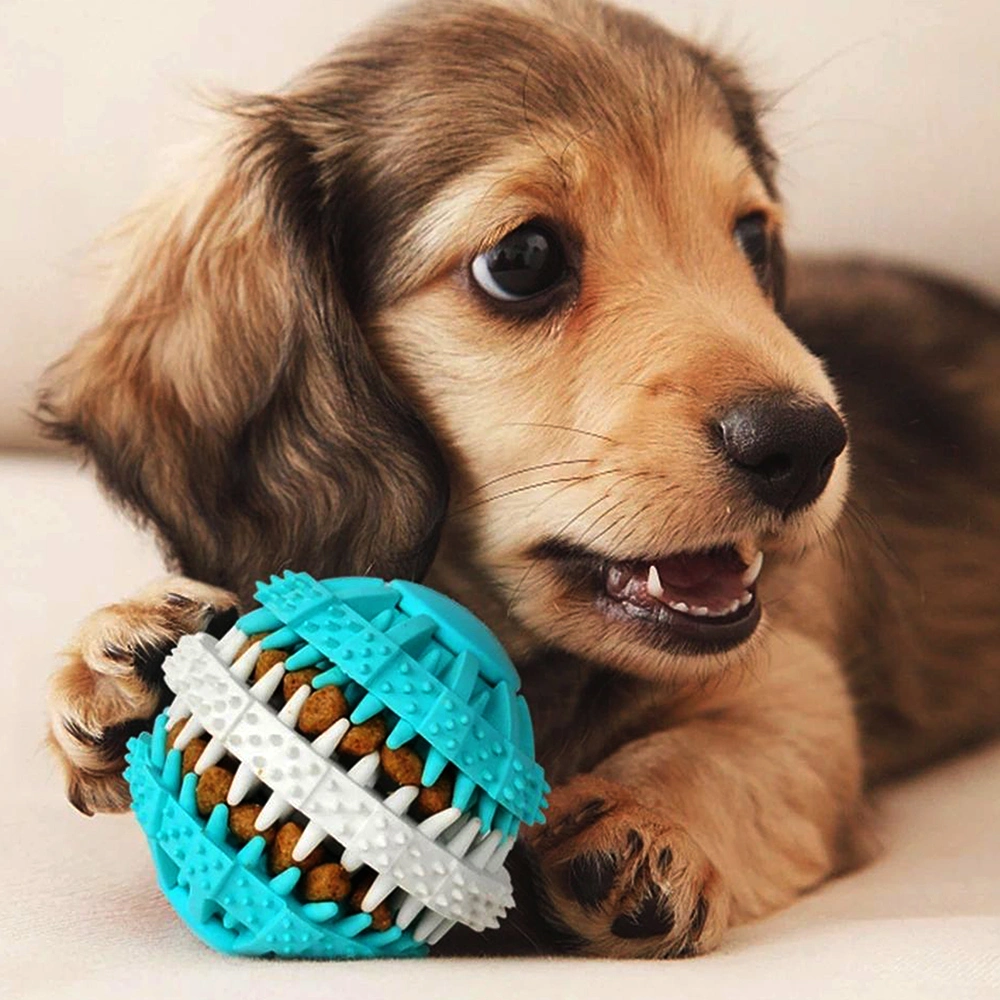 Custom Pet Products Design Natural Rubber Indestructible Tough Durable Clean Teeth Pet Chew Toy Dog Toy for Aggressive Chewers