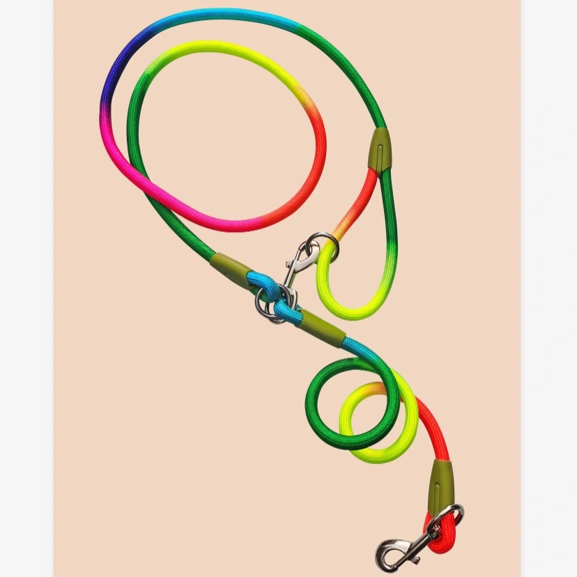 Colorful Rainbow Dog Harness, Ound Rope Pet Leash with Leash for Small Pets, Cats