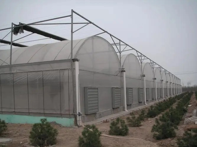 Agricultural/Commercial /Multi- Span Film/Po/PE/Plastic Green House for Tomatoes/Cucumber/Peppers/Strawberry with Hydroponic System/Drip Irrigation