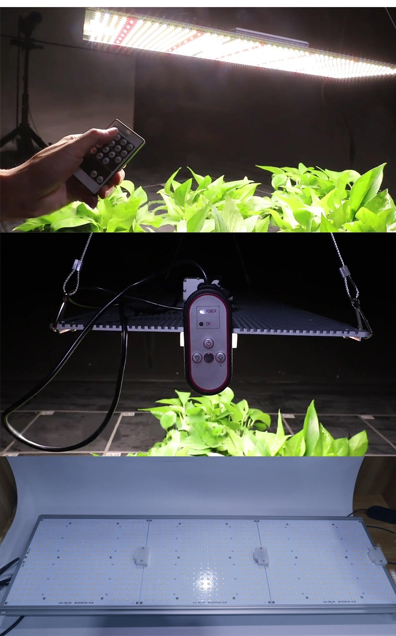 Full Spectrum 110V-277V Plant 300W LED Grow Light