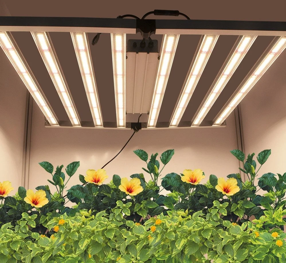 Farmer Lights Samsungs Lm301h Lm301b Lm281b Commercial Plants Bulb Head Full Spectrum Controller Indoor LED Grow Light