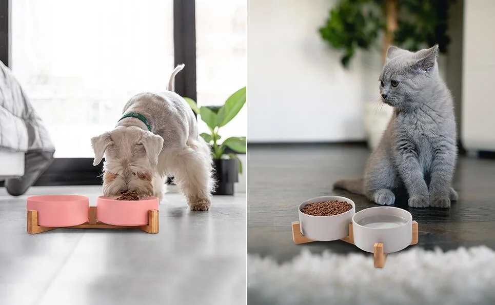 Cat Bowl Puppy Ceramic Food and Water Bowls with Wood Stand