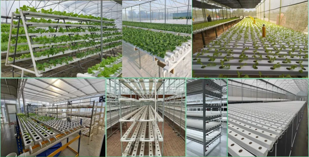 Customized 100*50mm PVC Nft Agricultural Nft Cultivation Channel PVC Grow Gutter for Greenhouse