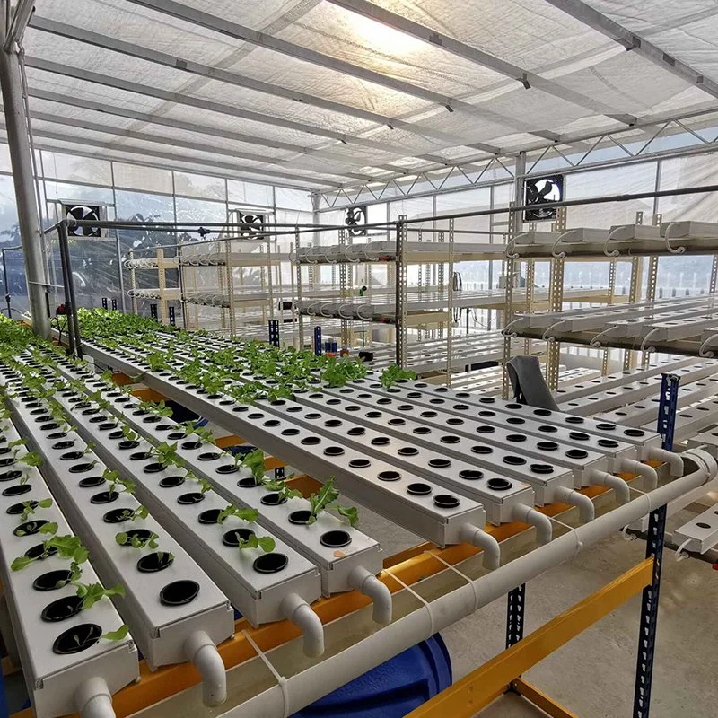 Customized 100*50mm PVC Nft Agricultural Nft Cultivation Channel PVC Grow Gutter for Greenhouse