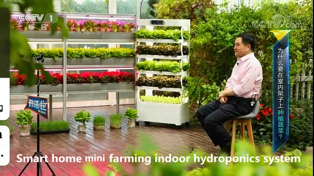 Indoor Smart Vertical Intelligent Mini Farming Hydroponics Soilless Growing System