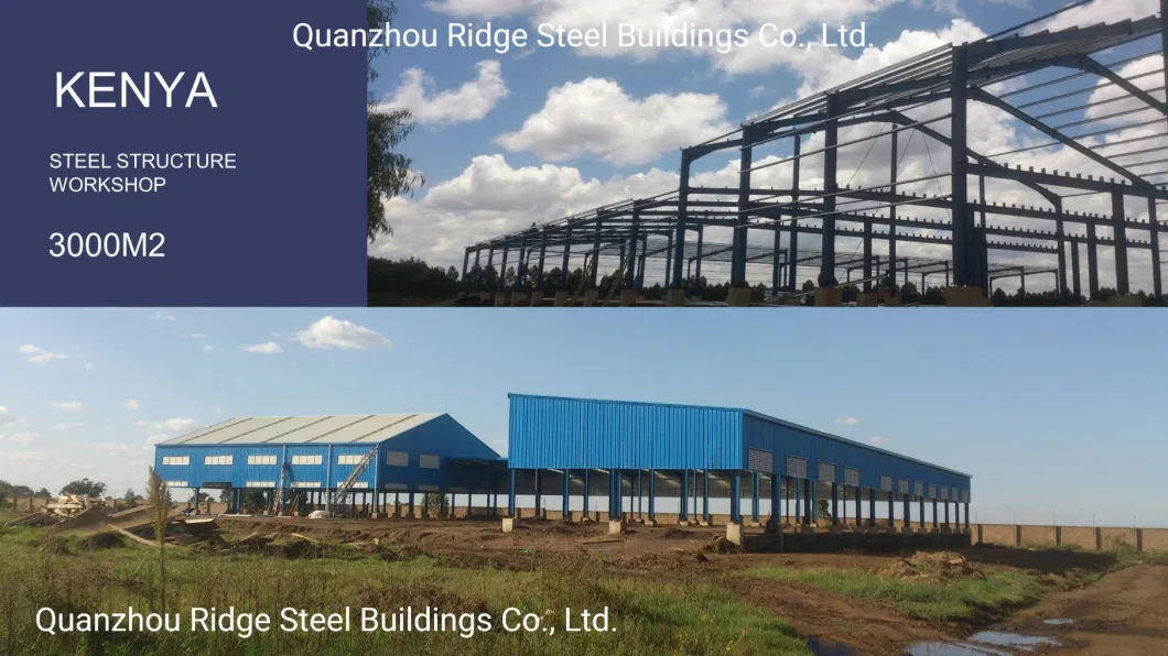 Steel Structure Platform Fabricated House Garden Shed Metal Building for Sale