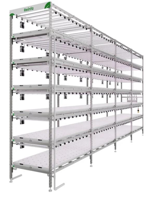 Grow Rack Double Layer Vertical Grow Table Rack Hydroponic Growing System Indoor