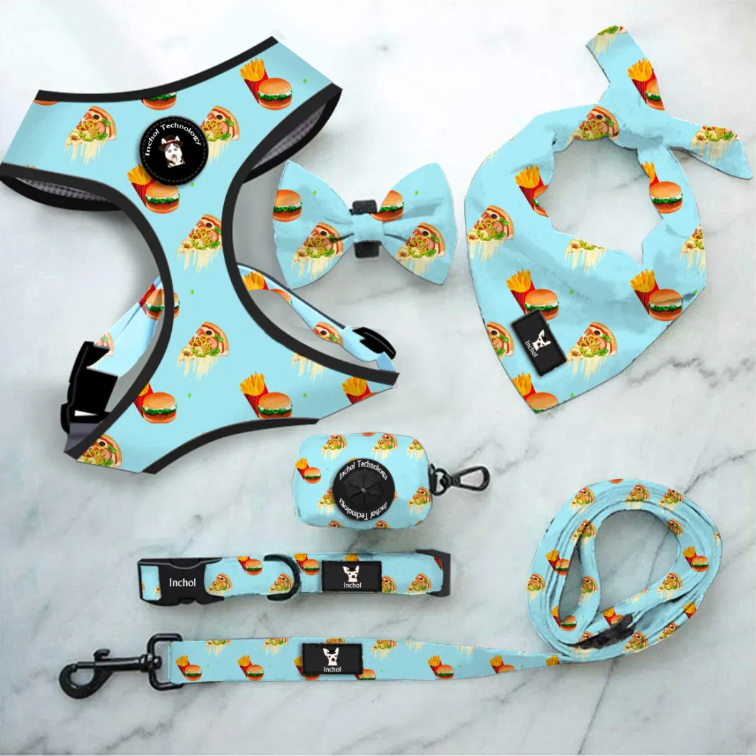 2021 Hot Sell Customized Walking Puppy Pet Harness and Collar Leash