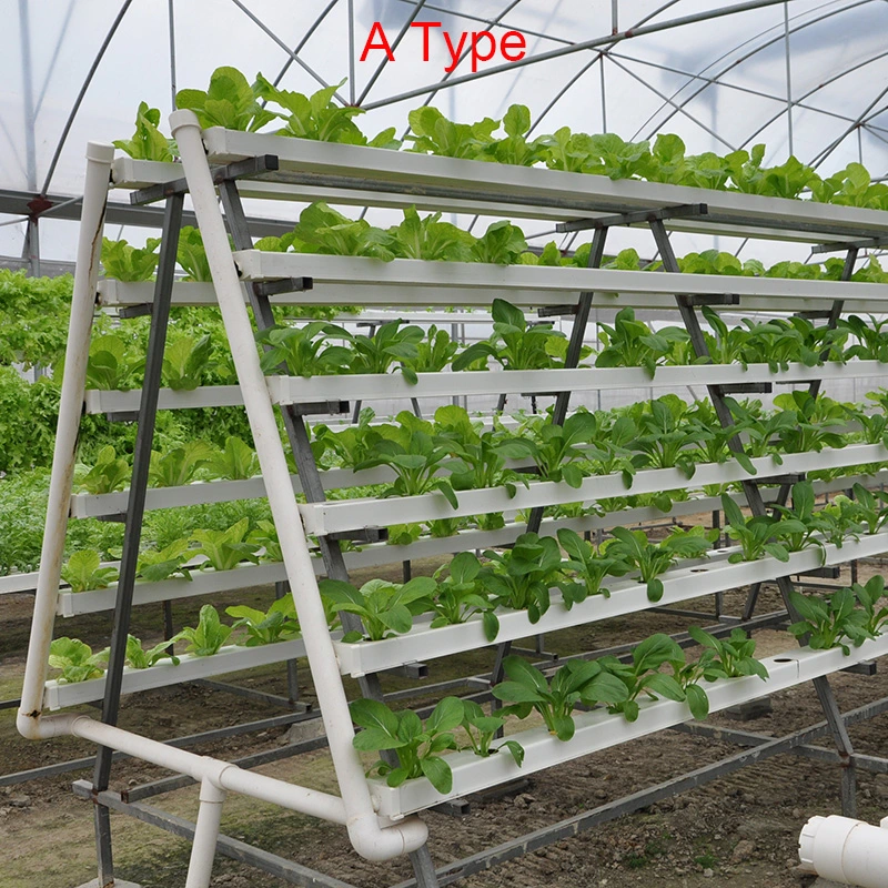 Hydroponic Growingsystems PVC Channel Greenhouse Hydroponic Nft for Lettuce Indoor Growing System