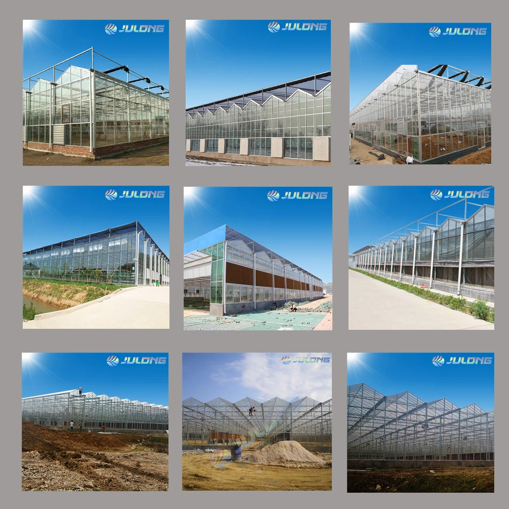 One Stop Solutions Greenhouse for Agriculture Engineering Farming Indoor Planting Green Vegetable Hydroponics