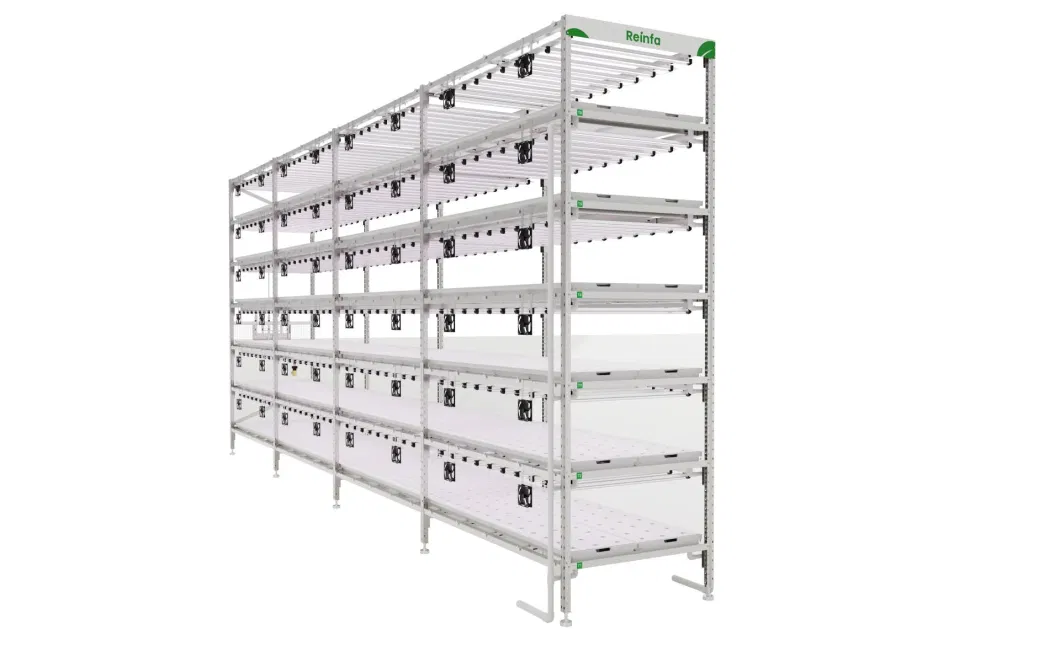 Grow Rack Double Layer Vertical Grow Table Rack Hydroponic Growing System Indoor