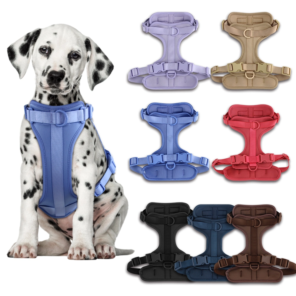 New Lightweight Custom Logo Pet Dog Safety Harness Adjustable Soft Padded Air Layer Dog Harness with Rubber Dog Collar Leash Bag