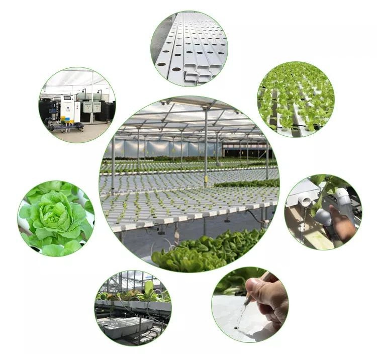 Indoor Plant Growing Systems Environment Friendly Hydroponics System Garden Verticle Hydroponic Agriculture