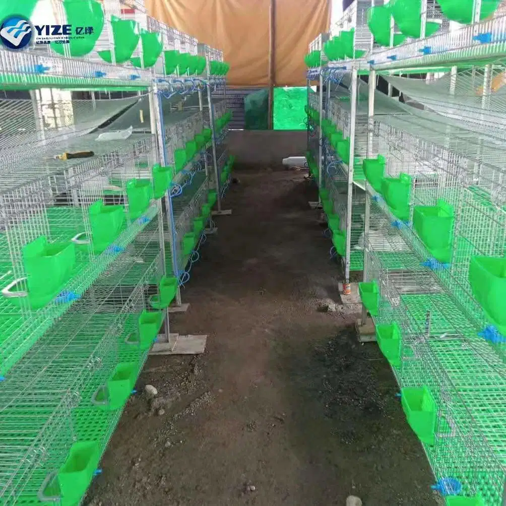 Outdoor Backyard Poultry Rabbit Hen Chicken Cage