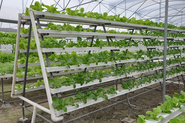 Vertical Indoor Hydroponic PVC Nft Micro Greens Growing Trough Hydroponics System