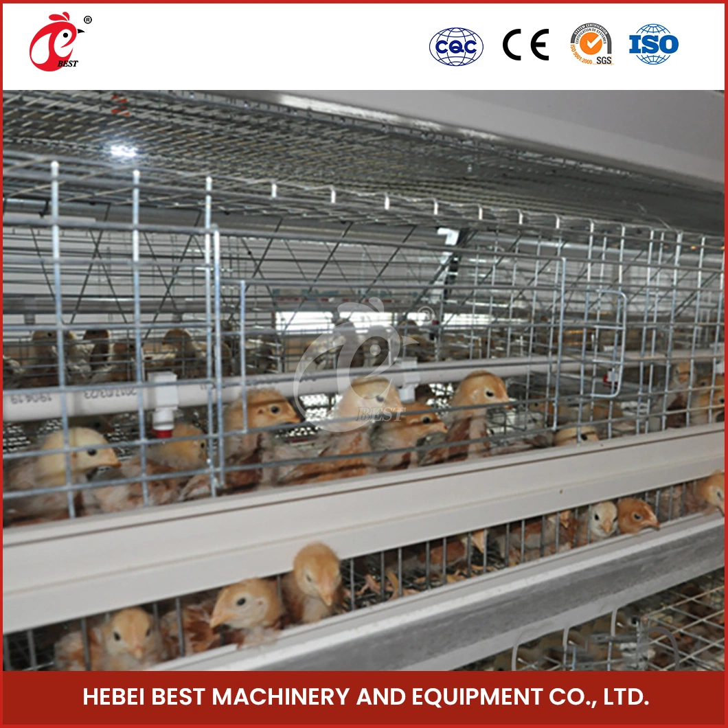Bestchickencage China Outdoor Chicken Coops Suppliers H Frame Automatic Boriler Cages Free Sample Energy Save/Remote Control Chicken Coop Shed